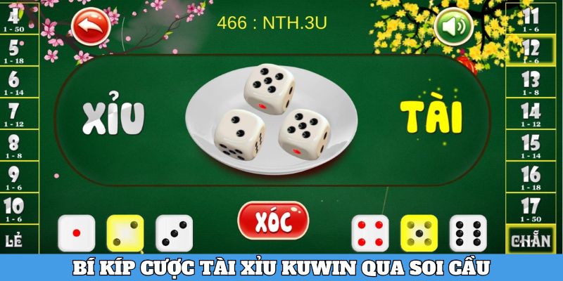 Bí kíp ăn Tài Xỉu qua soi cầu