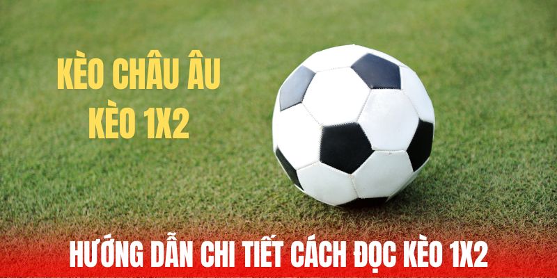 Hướng dẫn chi tiết cách đọc kèo 1x2